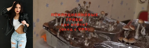 прущий лед Рославль