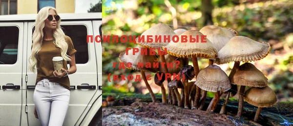 мяу мяу мука Белокуриха