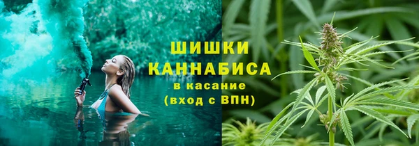 мяу мяу мука Белокуриха